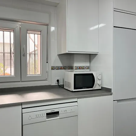 Lemon Tree Corazon De Grupo Ac Gestion * 加的斯