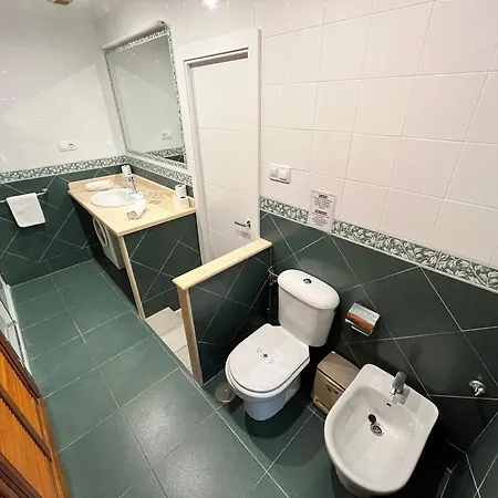 Lemon Tree Corazon De Grupo Ac Gestion Cádiz