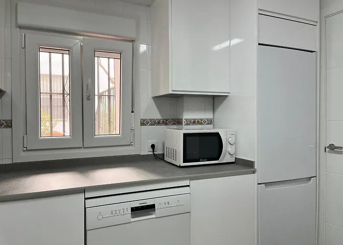 Lemon Tree Corazon De Grupo Ac Gestion * Кадіс